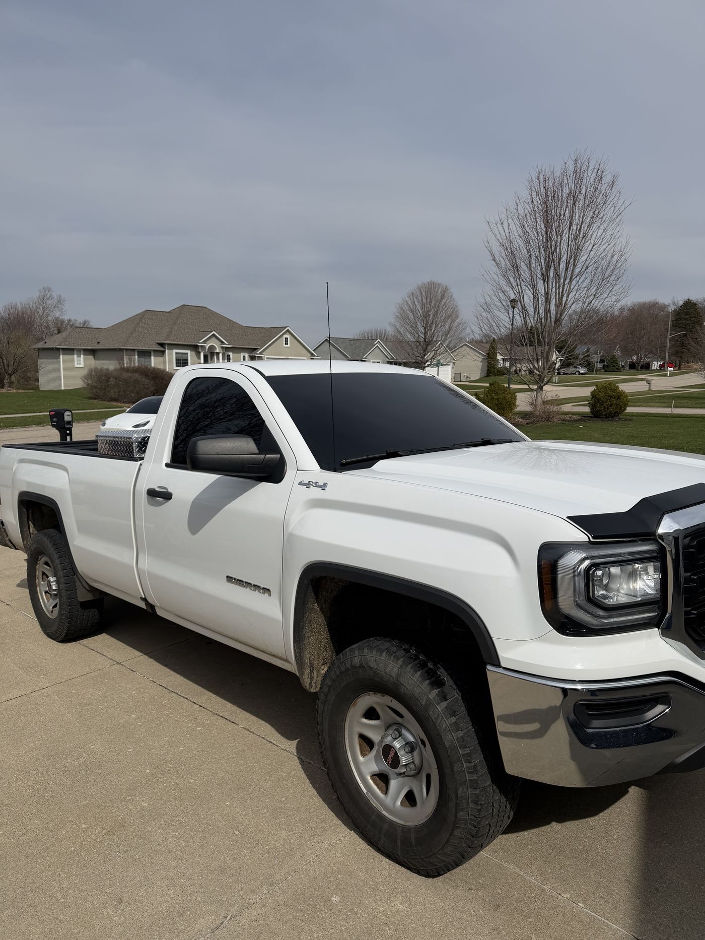 Automobile Tint