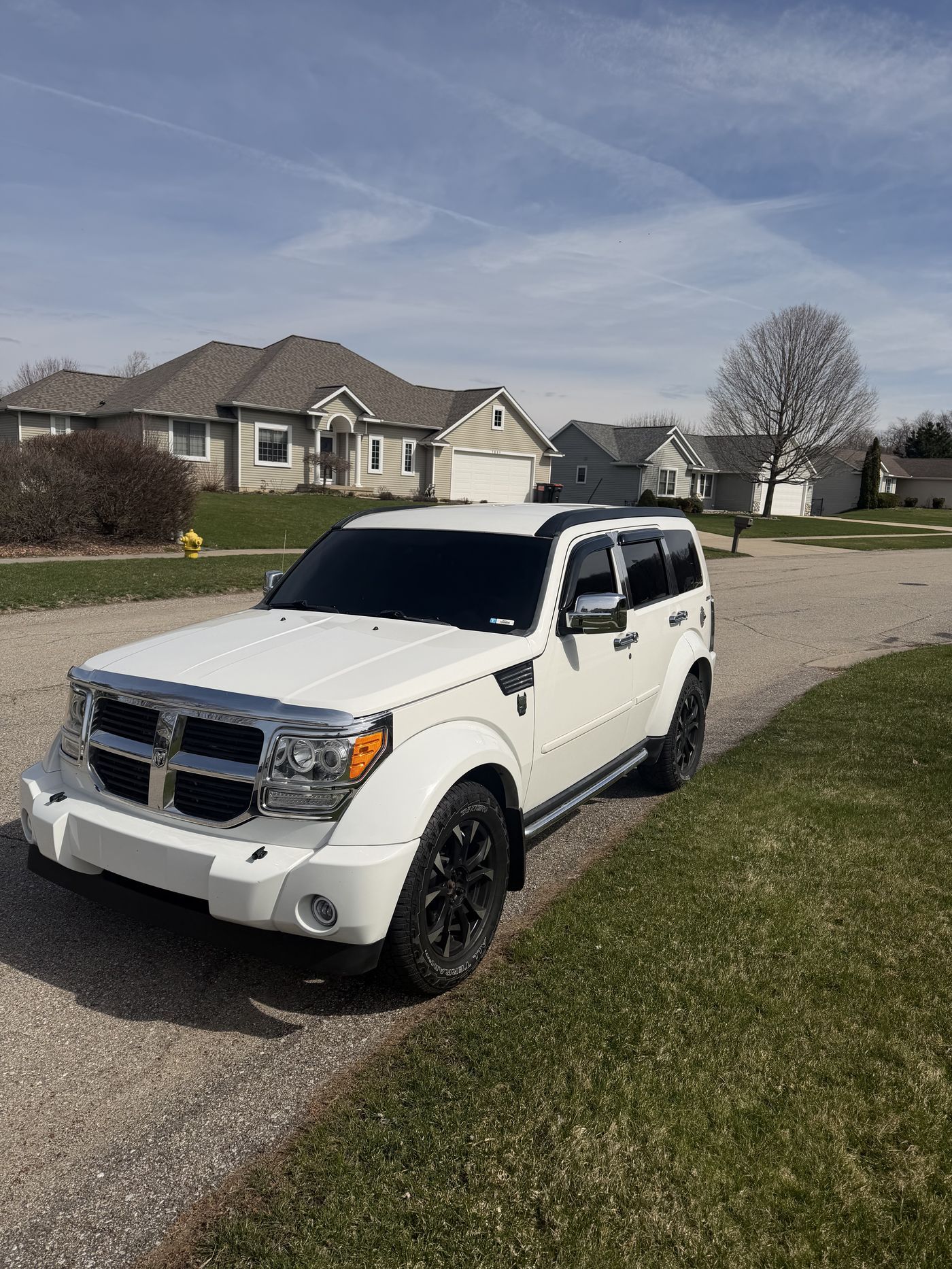Automobile Tint